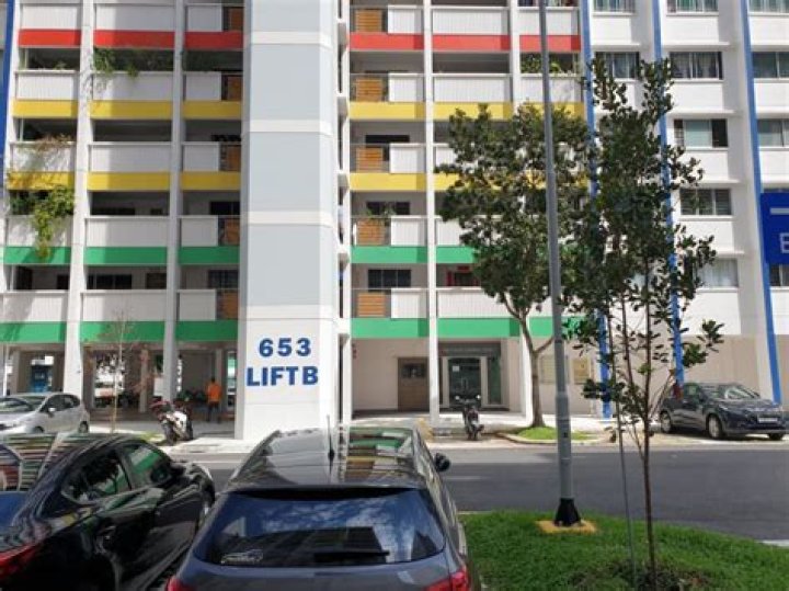 
19 Years Old Sylesnar Seah Jie Kai Killed His Own Father Eddie Seah Wee Teck In Yishun- Murder Cause 