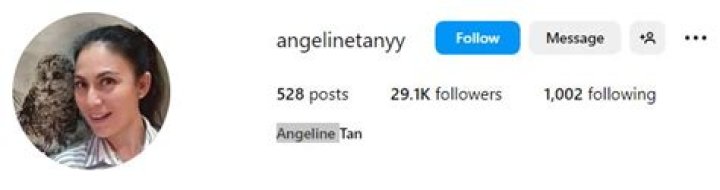 Angeline Tan Height, Age, Boyfriend, Biography, Wiki, Net Worth