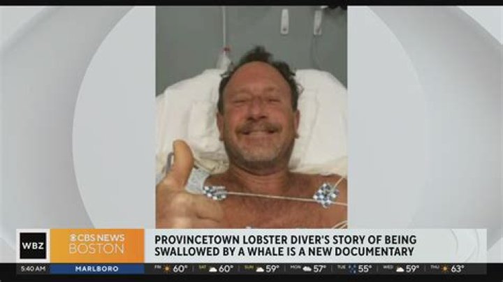 
Michael Packard Age, Birthday, Wikipedia, Who, Nationality, Biography 