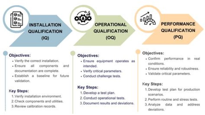 
Physical Intelligence: How the PQ Affects Your Success 